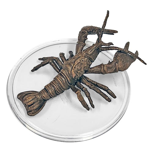 Giant Crayfish (Ghost Light) - (34)