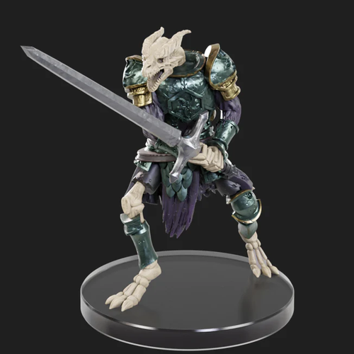 Skeleton Knight 5e (50th Anniversary) - (22)