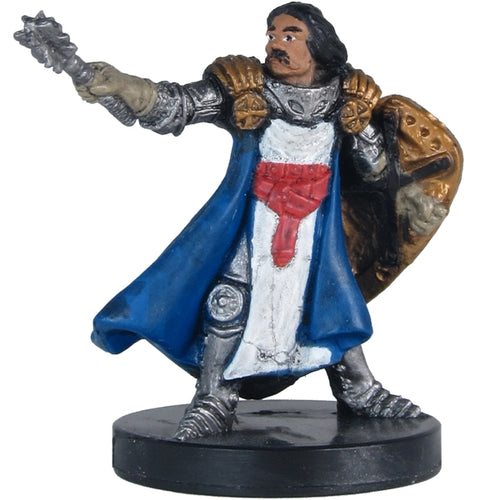 Male Human Cleric (Player's Handbook Heroes: Series 1) - (15)