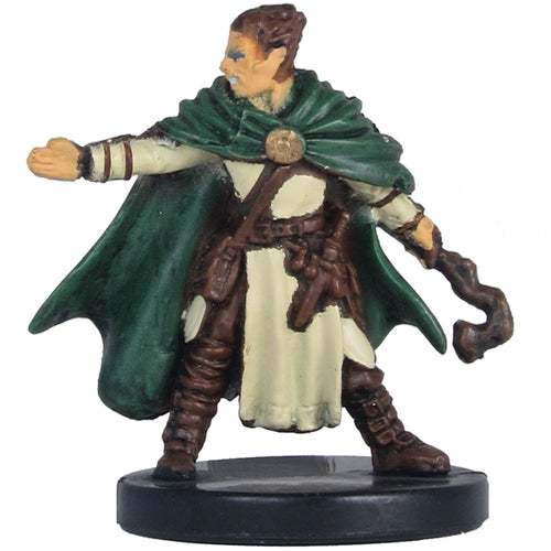 Male Human Druid (Player's Handbook Heroes: Series 2) - (17)