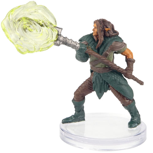 Wood Elf Druid (Return of the Dragons) - (16)