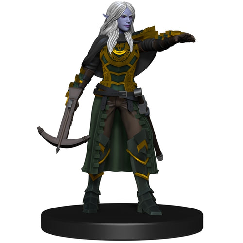 Drow Rogue (Darklands Rising) - (6)