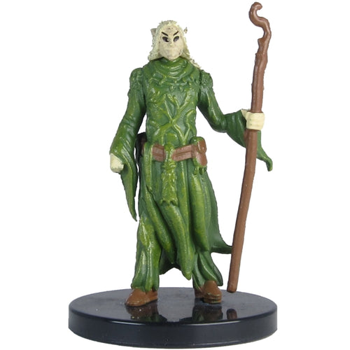 Elf Druid (Jungle of Despair) - (13)