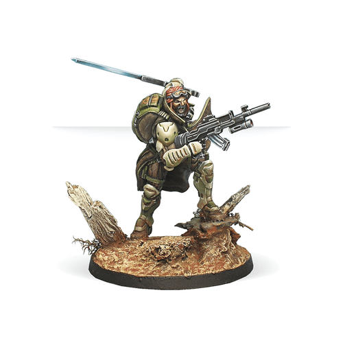 Infinity Tarik Mansuri, Amir of Khawarijs