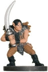 Wild Elf Raider (Angelfire) - (29)