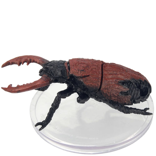 Beetle Carapace (Armies of the Dead) - (28)