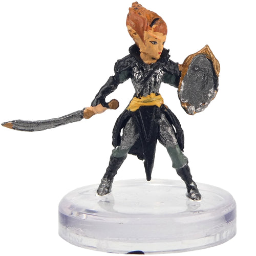 Gnome Exorcist (Armies of the Dead) - (18)