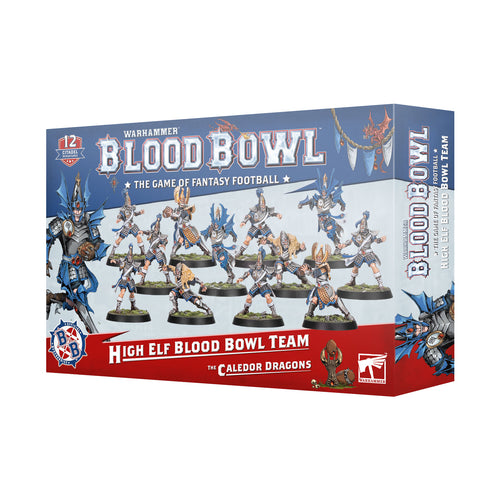 HIgh Elf Blood Bowl Team - The Caledor Dragons