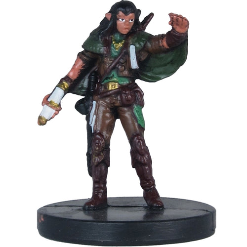 Male Half-Elf Bard (Player's Handbook Heroes: Series 1) - (9)