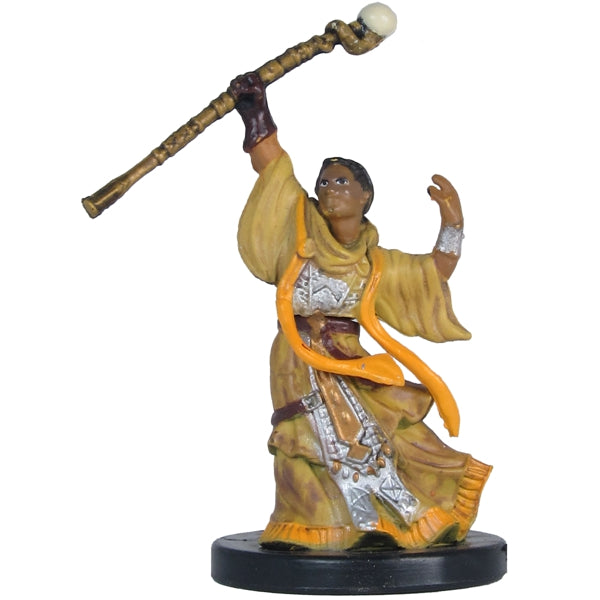 Male Human Invoker (Player's Handbook Heroes: Series 2) - (9)