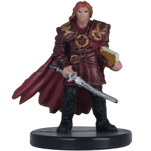 Male Human Swordmage (Player's Handbook Heroes: Series 2) - (3)
