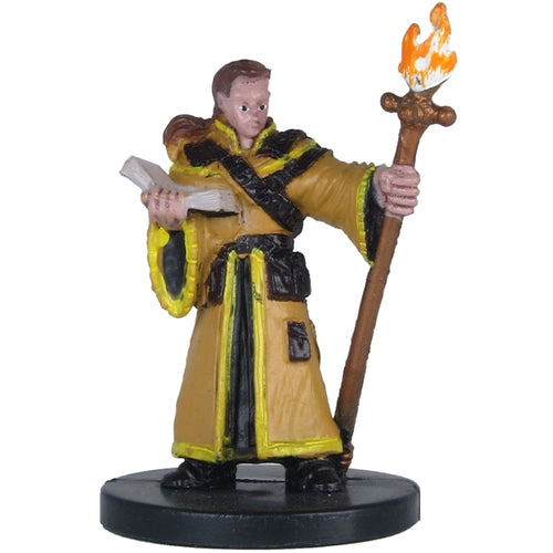 Male Human Wizard (Player's Handbook Heroes: Series 1) - (12)