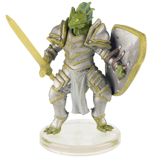 Nadaar (Adventures in the Forgotten Realms - Adventuring Party Starter)