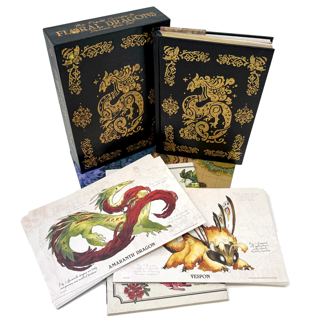 The Field Guide to Floral Dragons Box Set (Deluxe Edition)
