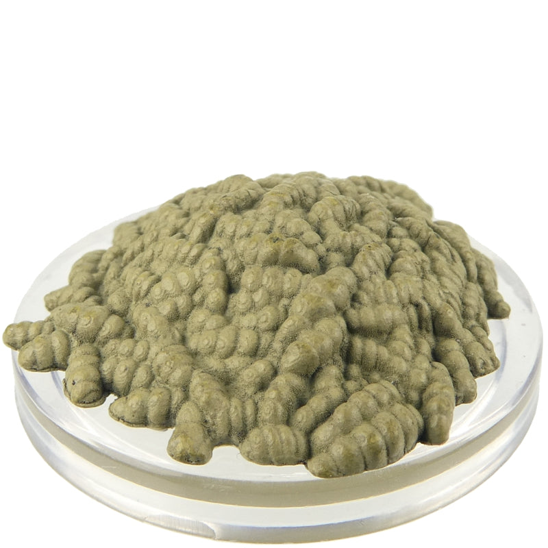 Swarm of Rot Grubs (Monster Menagerie Revisited) - (9)