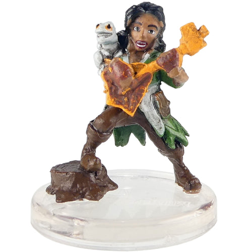 Tumblestrum (Adventures in the Forgotten Realms - Adventuring Party Starter)