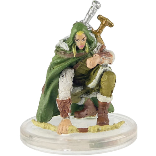 Varis (Adventures in the Forgotten Realms - Adventuring Party Starter)