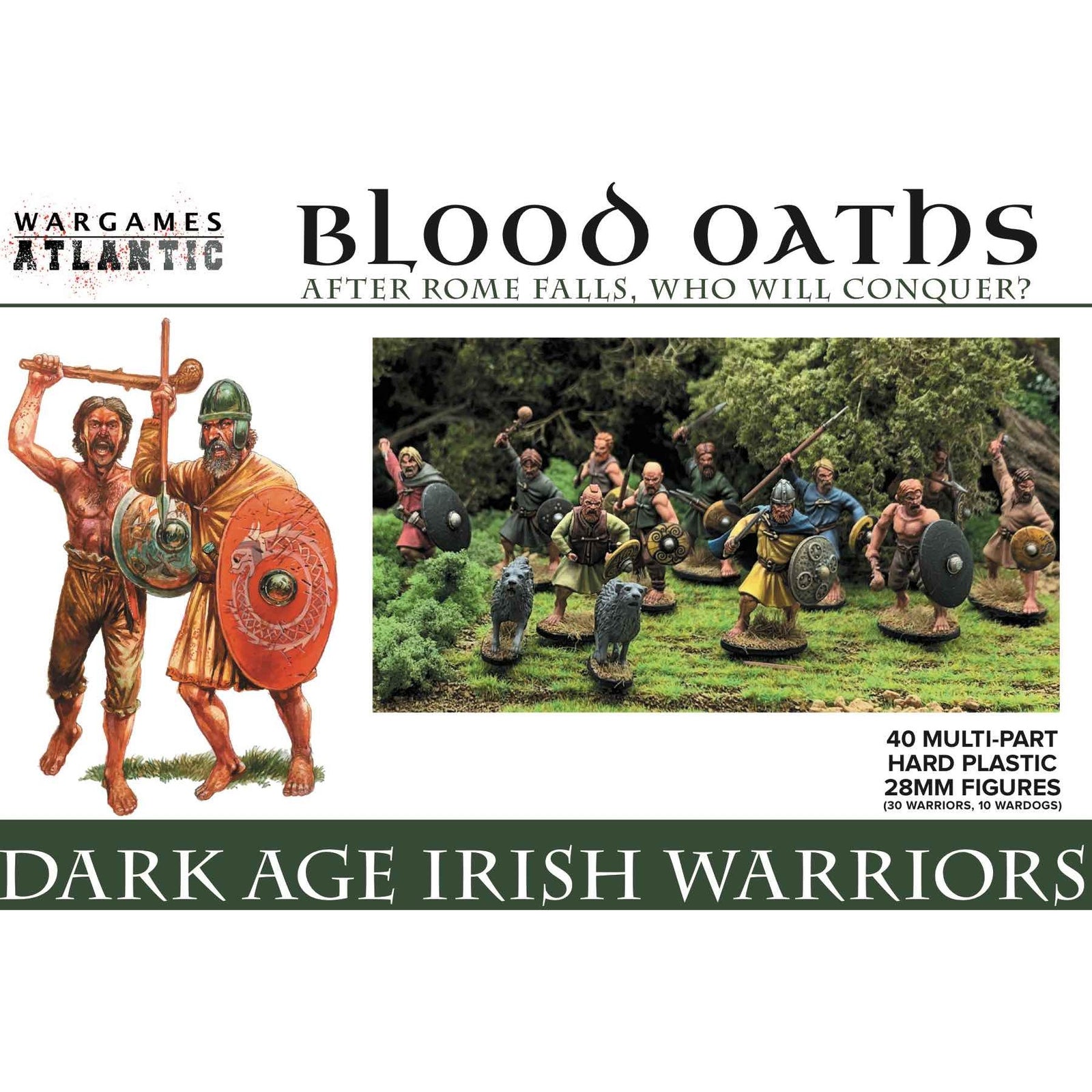 Blood Oaths Dark Age Irish Warriors