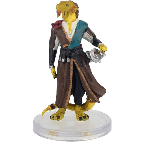 Draconblood Dragonborn (Factions of Wildemount Dwendalian Empire Box Set) - (19)
