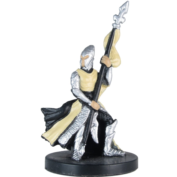 Elf Spearguard (Dragoneye) - (19)