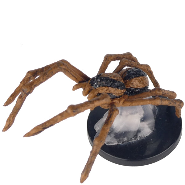 Giant Wolf Spider (Fangs & Talons) - (8)