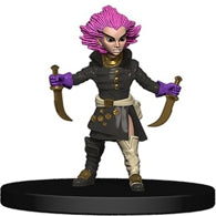 Gnome Wizard (Rusty Dragon Inn) - (14)