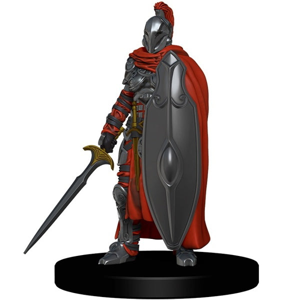 Grey Maiden Guard (Crown of Fangs) - (11)