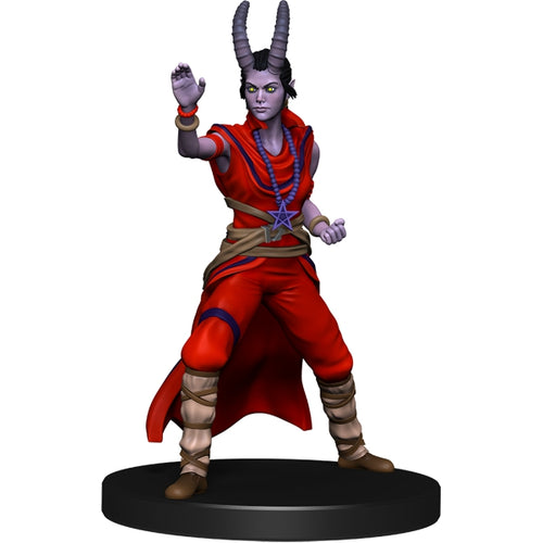 Hellspawn Monk (Darklands Rising) - (8)