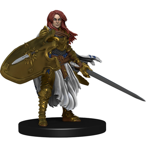 Lastwall Knight (Ruins of Last Wall) - (17)