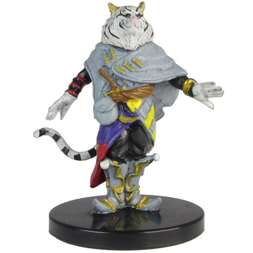 Mahadi (Baldur's Gate: Descent into Avernus) - (24)