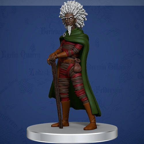 Shakaste (Guests of Critical Role)