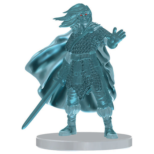 Sword Wraith Warrior (Seas & Shores) - (13)